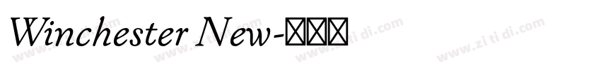 Winchester New字体转换